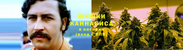 ешки Алексеевка