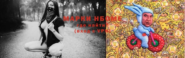 прущий лед Алзамай