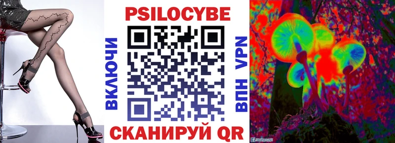 Псилоцибиновые грибы Psilocybe  Пустошка 